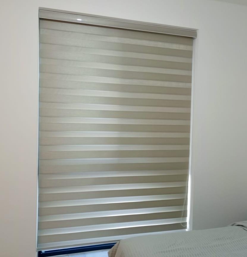 Zebra Blinds